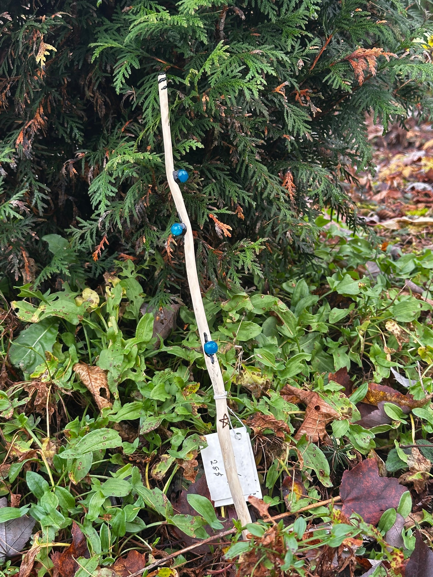 Baguette Énergétique - Cèdre | Quartz Bleus