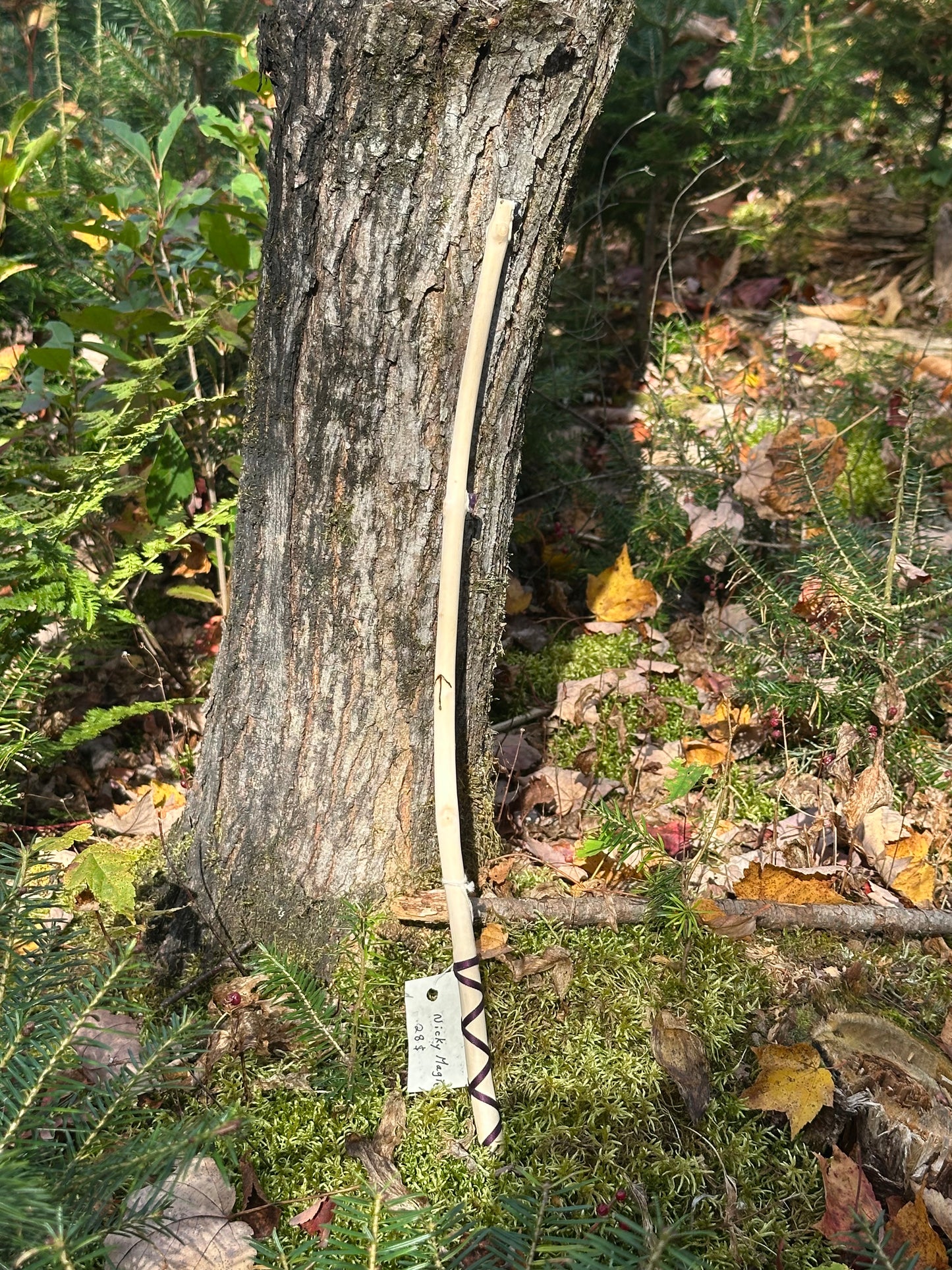Baguettes Énergétique - Érable | Amétistes | Ruban